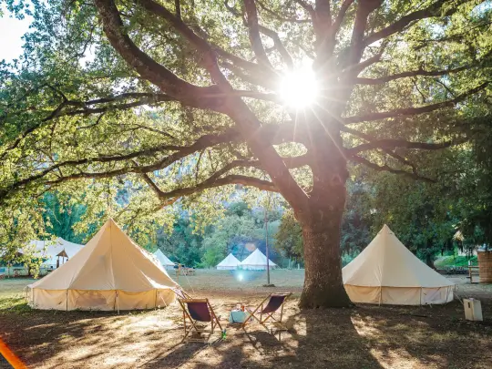 camping dordogne devant arbre et soleil