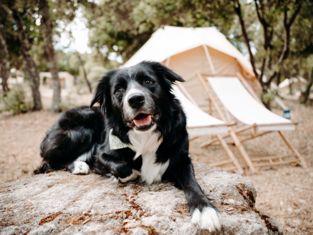 NC Luberon Lodg'ing11