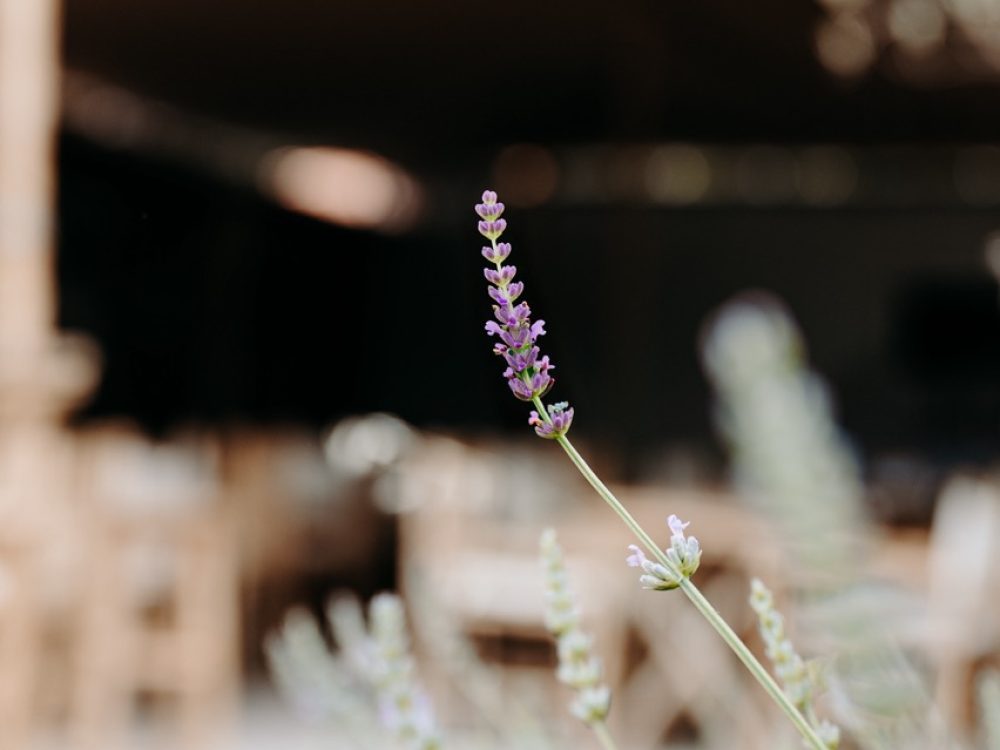 NC Luberon Lodg'ing12