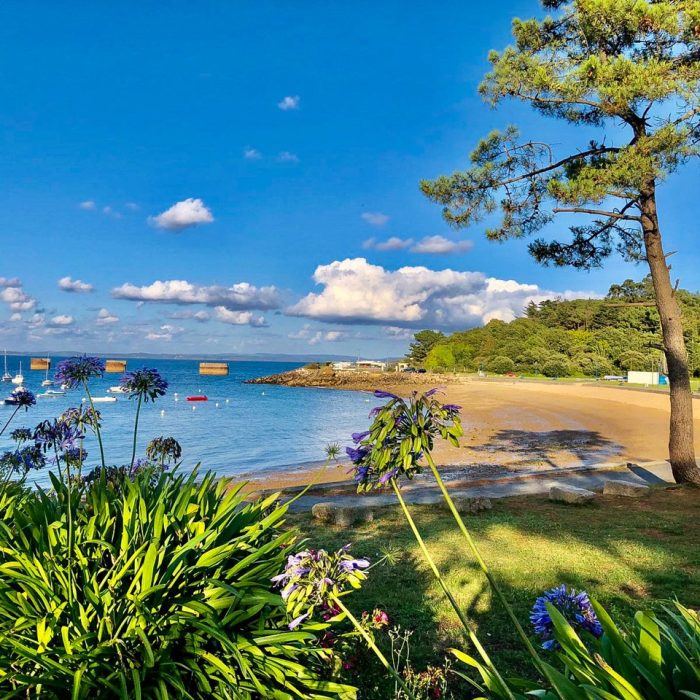 LODG'ING NATURE CAMP CROZON10