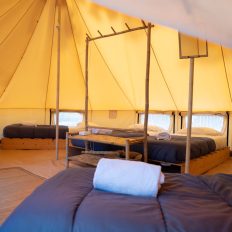 NC Dordogne-18 Grande