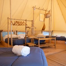 NC Dordogne-21 Grande