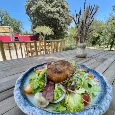 salade snack lodging